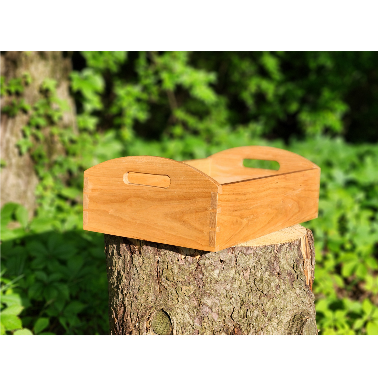 Shaker Tray