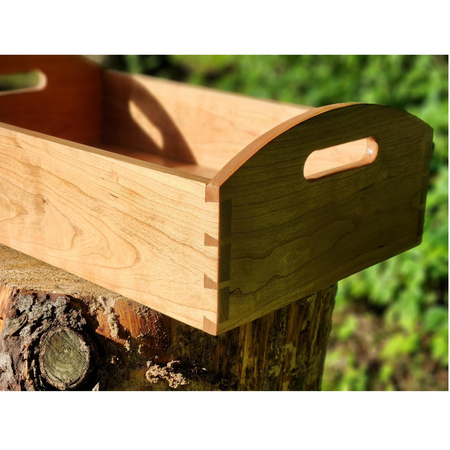 Shaker Tray
