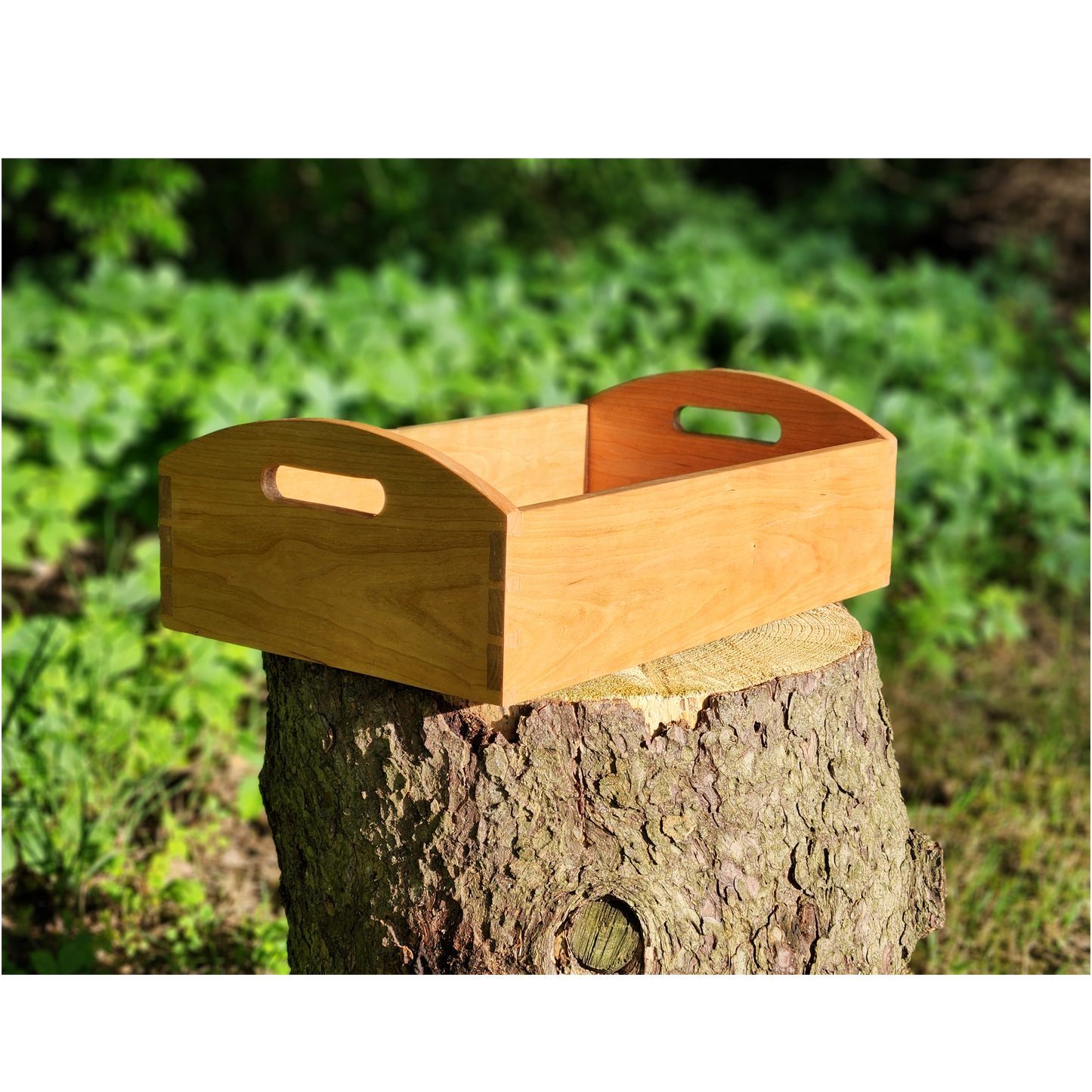 Shaker Tray